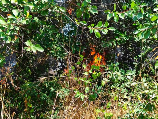 Vasto incendio di oliveti e verde a San Lorenzo nuovo