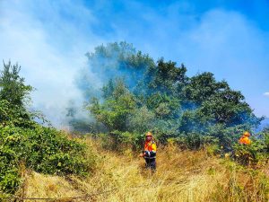 Vasto incendio di oliveti e verde a San Lorenzo nuovo