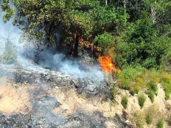 Corchiano - Incendio boschivo in località Chiare fontane