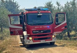 Vigili del fuoco in azione in campagna - Immagine di repertorio
