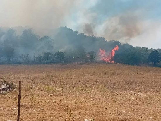 Bosco in fiamme a Monte Romano