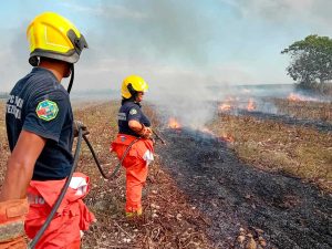 Canino - I volontari Aeopc Tarquinia in azione