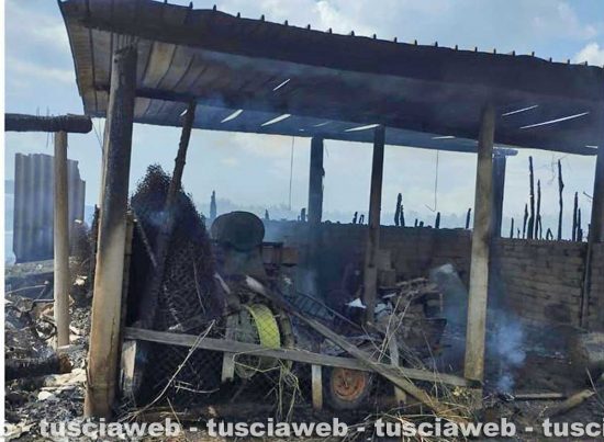 Corchiano - Incendio di sterpaglie e noccioleto