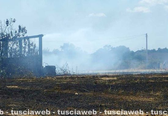 Corchiano - Incendio di sterpaglie e noccioleto
