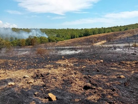 Bosco in fiamme a Monte Romano