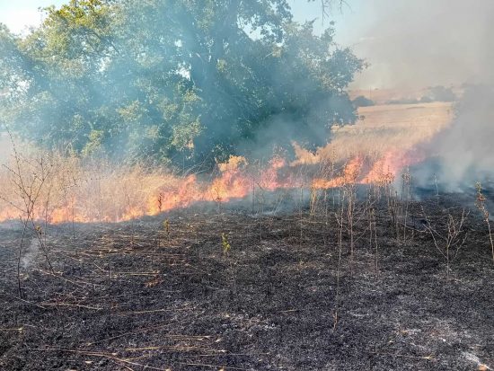 Incendio a Tarquinia