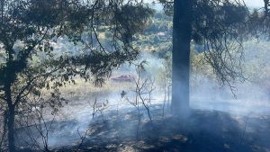 Bagnoregio - Incendio a Castel Cellesi