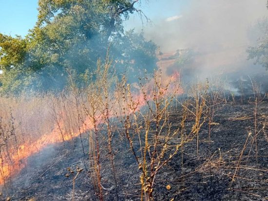 Incendio a Tarquinia 