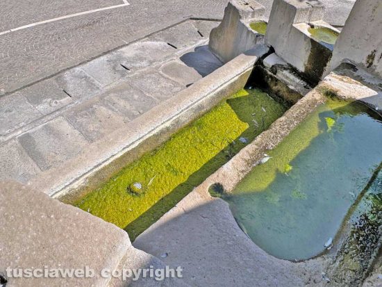Viterbo - Lo stato vergognoso in cui è ridotta la fontana di piazza della Rocca