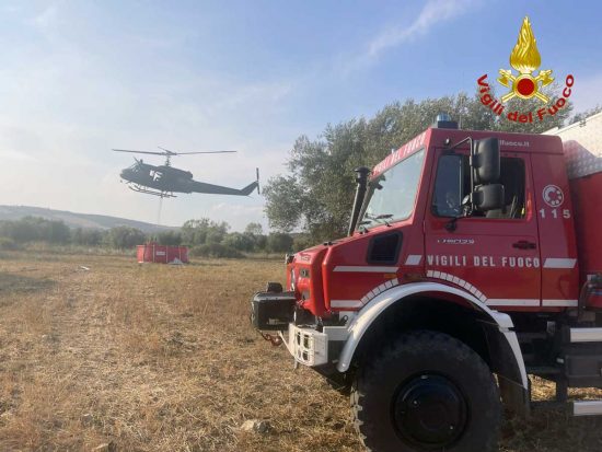 Bosco in fiamme a Monte Romano - Intervento dei vigili del fuoco