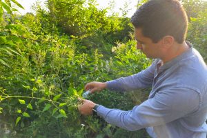 Primi lanci nel Lazio della Vespa samurai