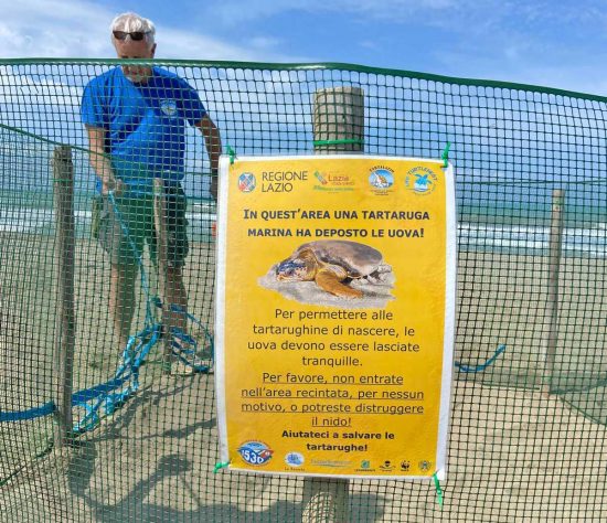 Sant'Agostino - Nido di tartaruga caretta caretta