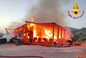 Tolfa - Capannone in fiamme