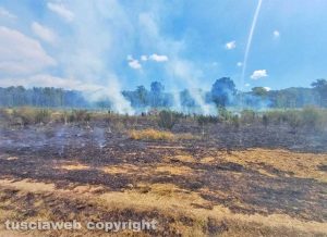 Vetralla - Incendio in località La Scorticata