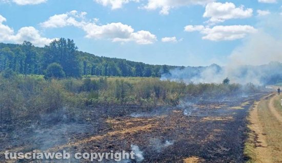 Vetralla - Incendio in località La Scorticata