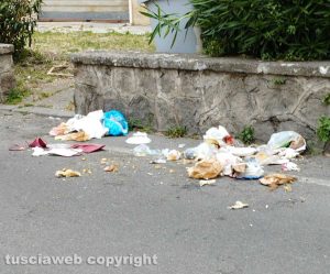 Viterbo - Immondizia in via Pola