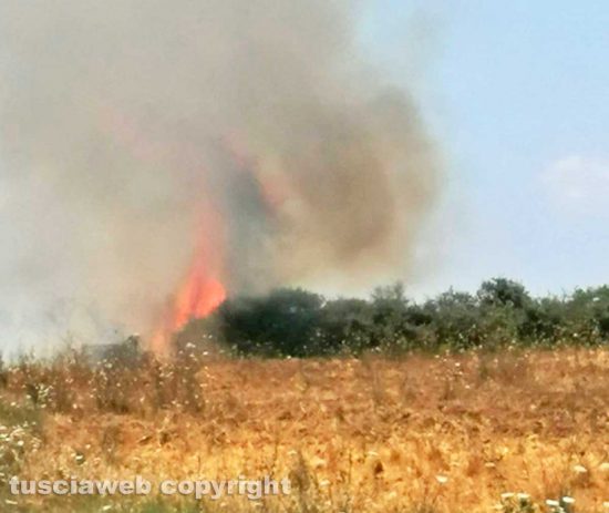 Bolsena - Incendio in località Montienzo