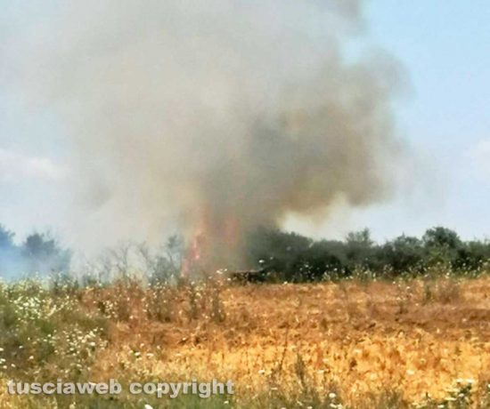 Bolsena - Incendio in località Montienzo