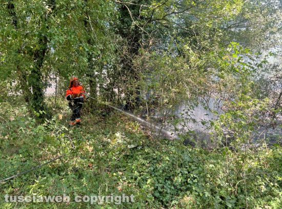 Bolsena - Incendio in località Montienzo - Protezione civile al lavoro