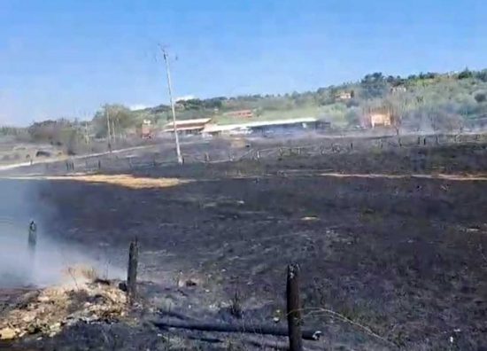 Viterbo - Vasto incendio di sterpaglie sulla Cassia sud - I volontari Anc in azione