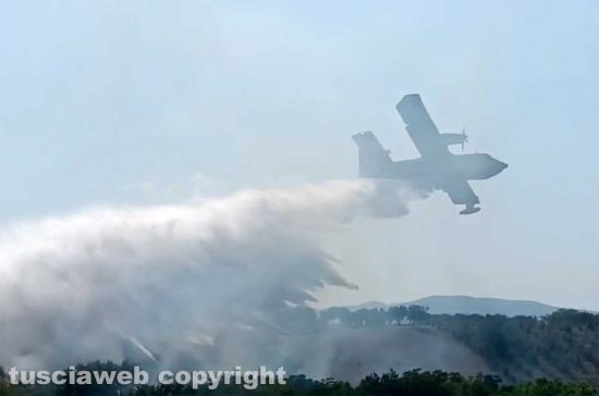 Un canadair in azione