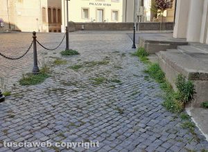 Viterbo - Erba al teatro Verdi