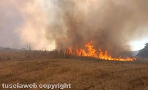 Incendio a Cesano