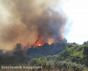 Incendio a Cesano