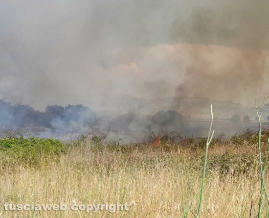 Incendio a Cesano