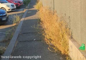 Viterbo - Via Gargana