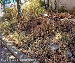 Viterbo - Degrado in via Raffaello