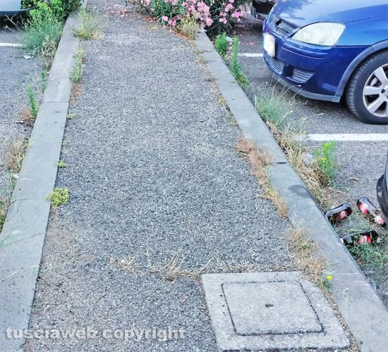 Viterbo - Incuria al parcheggio alla fine di viale Bruno Buozzi