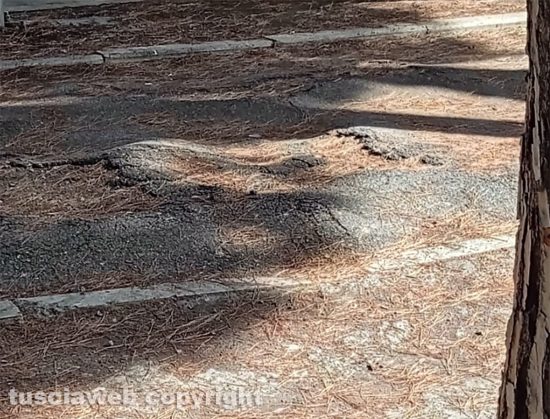 Tarquinia - Incuria a Tarquinia lido