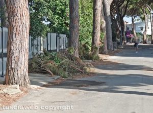 Tarquinia - Incuria a Tarquinia lido