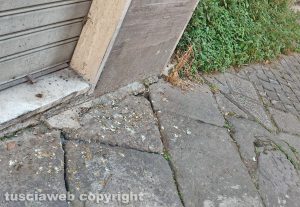 Viterbo - Escrementi di cani e piccioni in Via Sant'Egidio