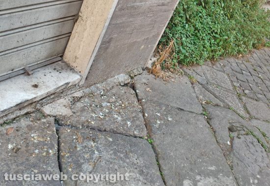 Viterbo - Escrementi di cani e piccioni in Via Sant'Egidio