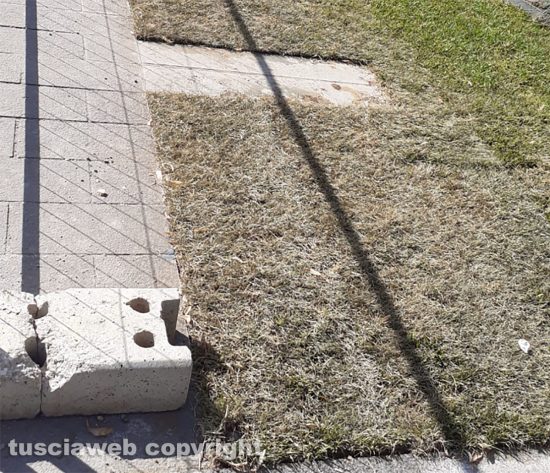 Viterbo - Via Cassia - Partino secco lungo la passeggiata sotto le mura