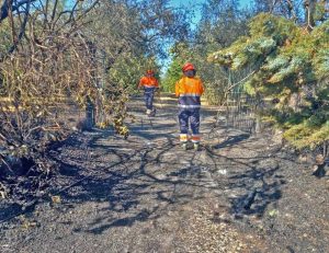 Gallese - Incendio a nella zona di Montilapi