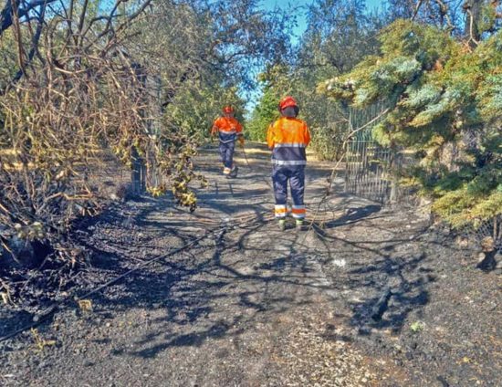 Gallese - Incendio a nella zona di Montilapi