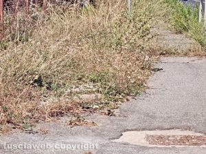 Viterbo - Marciapiede su strada Tuscanese in stato di abbandono