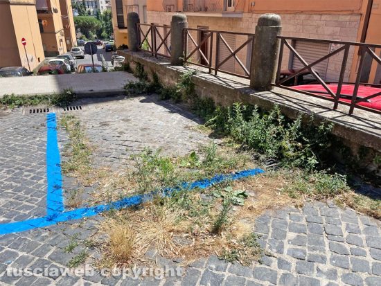 Viterbo - Piazza Sant'Agostino, strisce dei parcheggi rifatte ma senza tagliare l'erba 