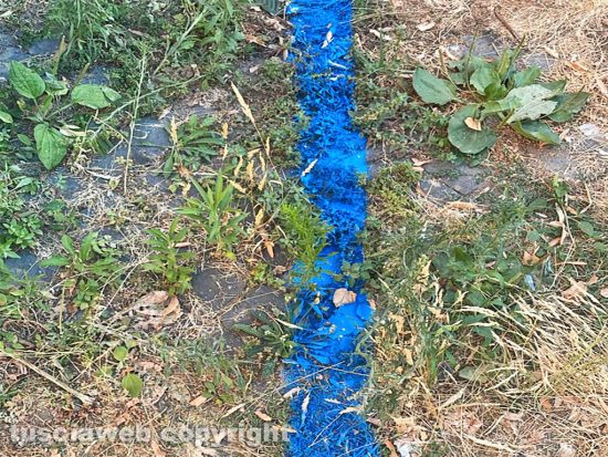 Viterbo - Piazza Sant'Agostino, strisce dei parcheggi rifatte ma senza tagliare l'erba