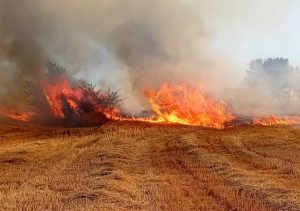 Monte Romano - Vasto incendio