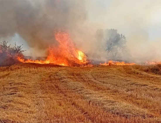 Monte Romano - Vasto incendio