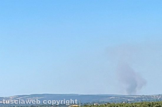 Monte Romano - Vasto incendio 
