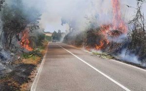 Incendio a Piansano