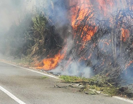 Incendio a Piansano