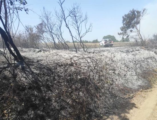 Incendio a Piansano