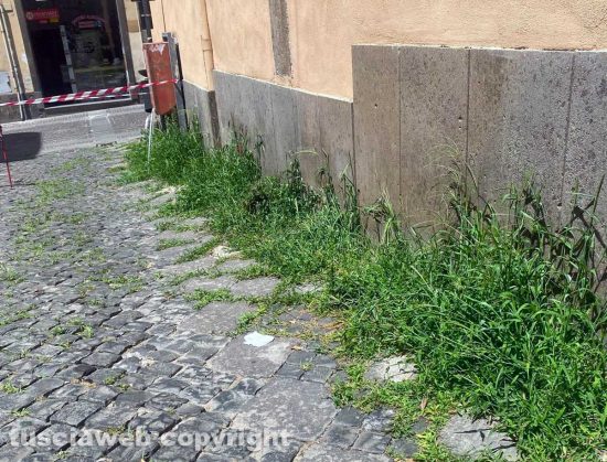 Viterbo - Lo stato di abbandono del decoro urbano in centro