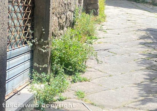 Viterbo - Lo stato di abbandono del decoro urbano in centro
